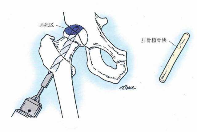 威尼斯注册送66