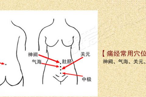 威尼斯注册送66