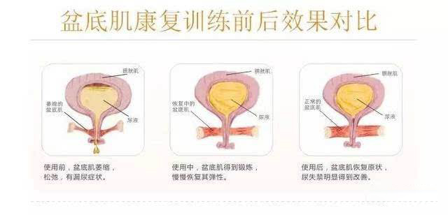 威尼斯注册送66