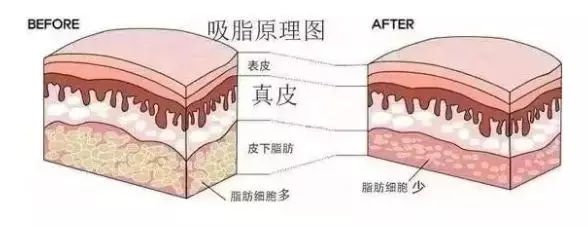 威尼斯注册送66