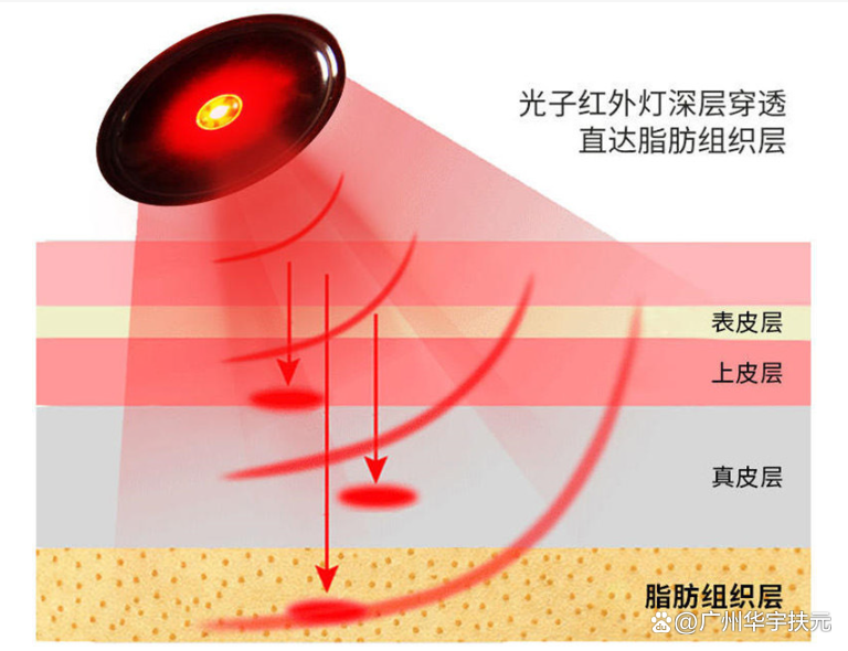 威尼斯注册送66